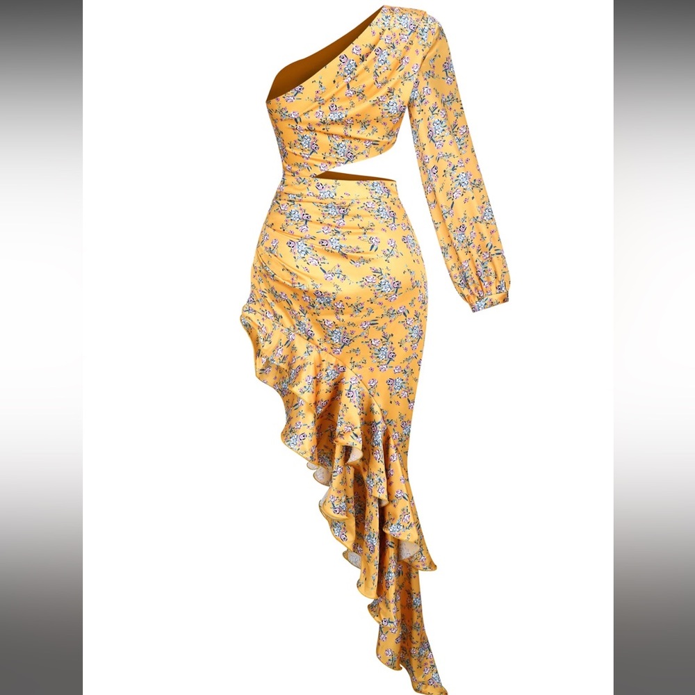NWT Rosedress